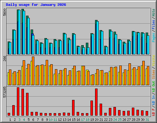 Daily usage for January 2026