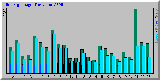 Hourly usage for June 2025