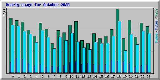 Hourly usage for October 2025