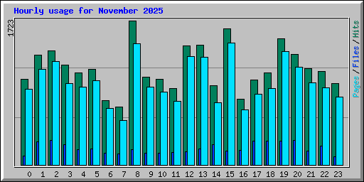 Hourly usage for November 2025