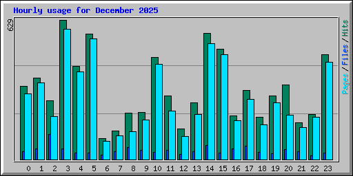 Hourly usage for December 2025